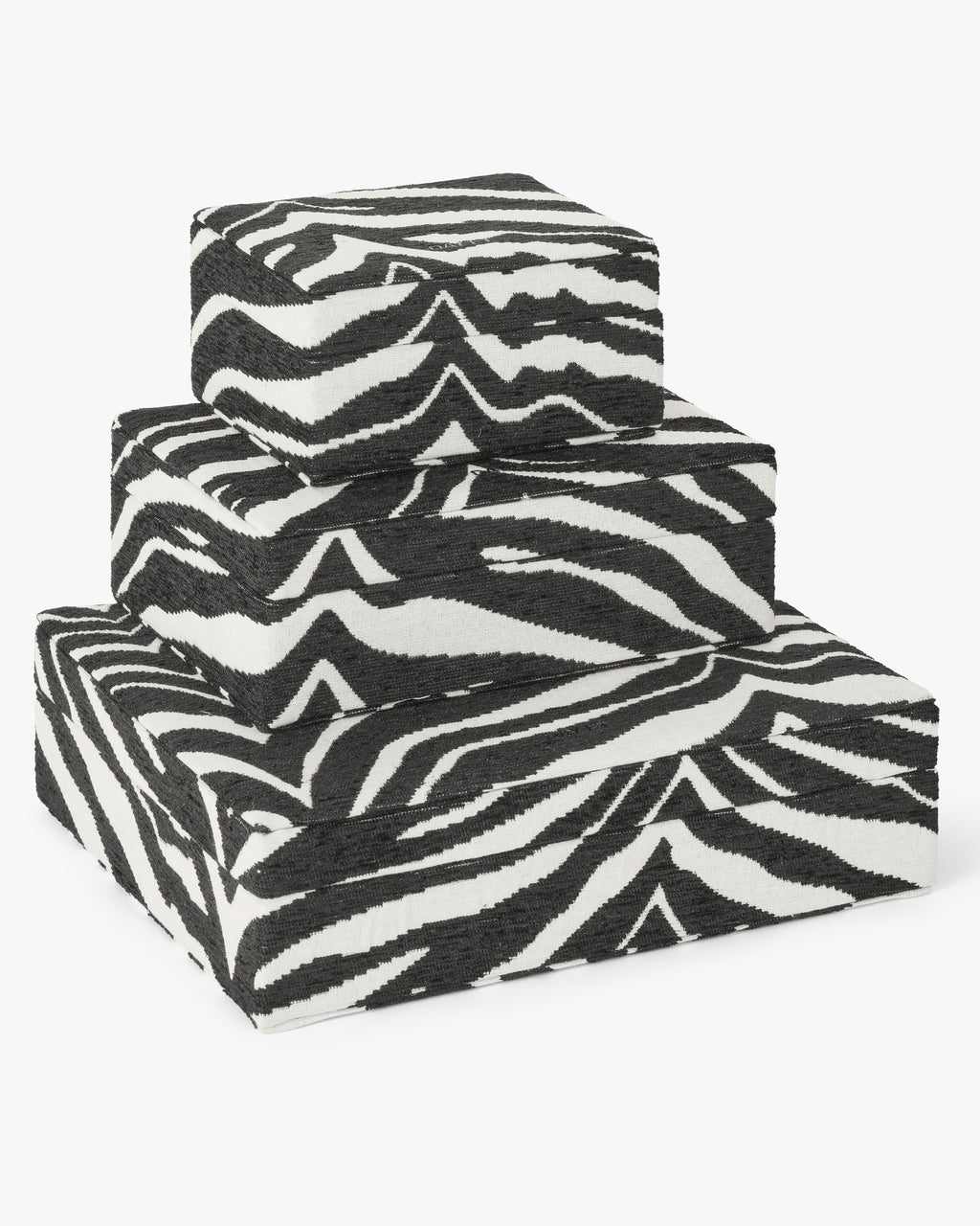 Day Zebra Jewelry Case Large