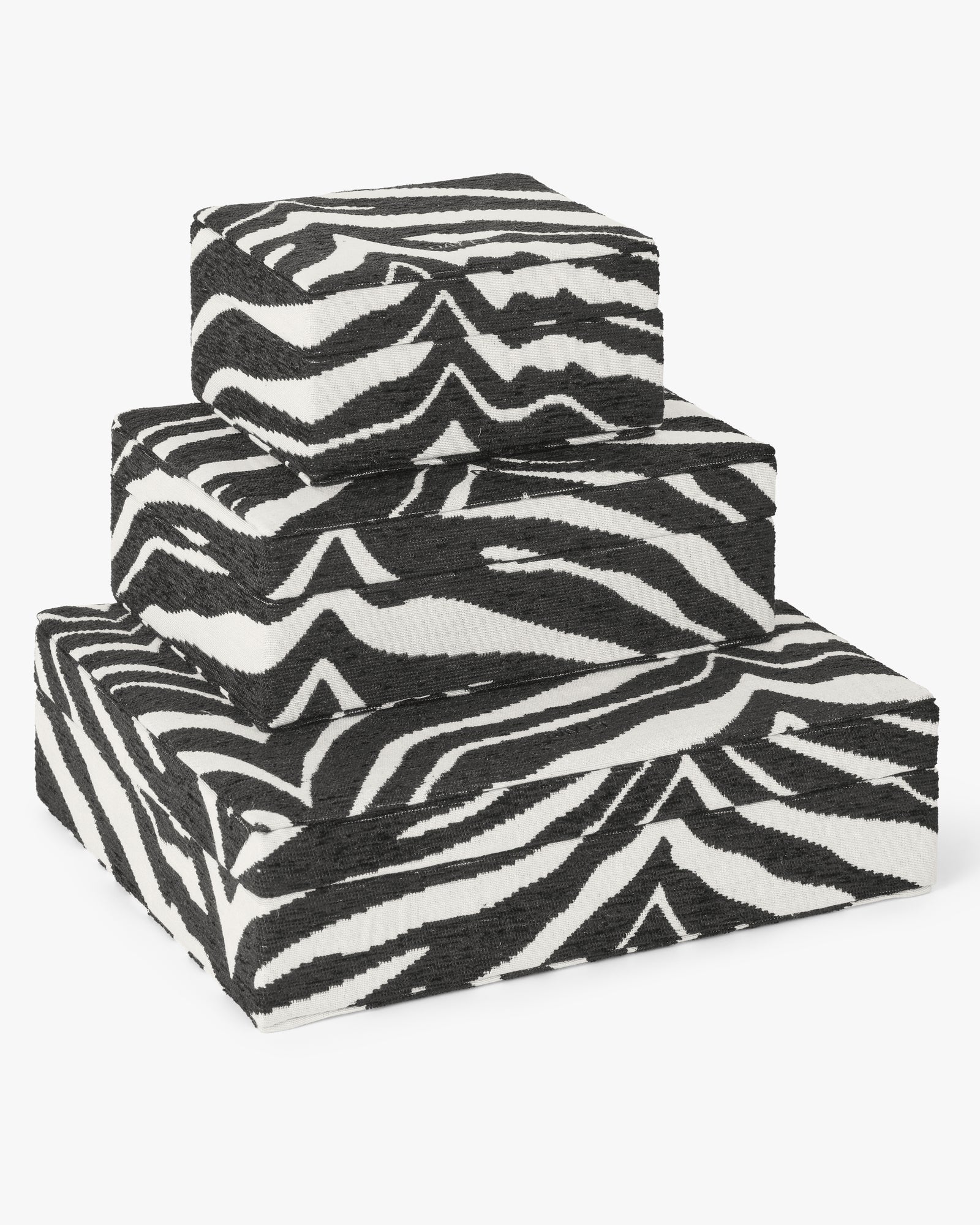 Day Zebra Jewelry Case Large