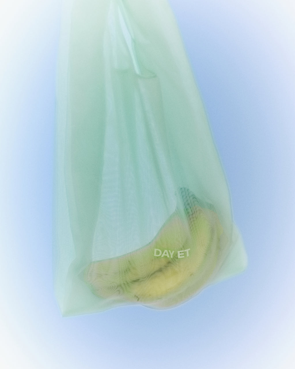 Day Sheer Bag