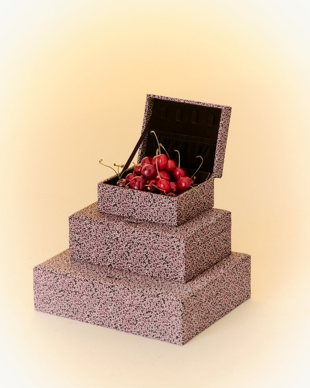 Day Print Jewelry Case Medium